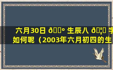 六月30日 🐺 生辰八 🦊 字如何呢（2003年六月初四的生辰八字）